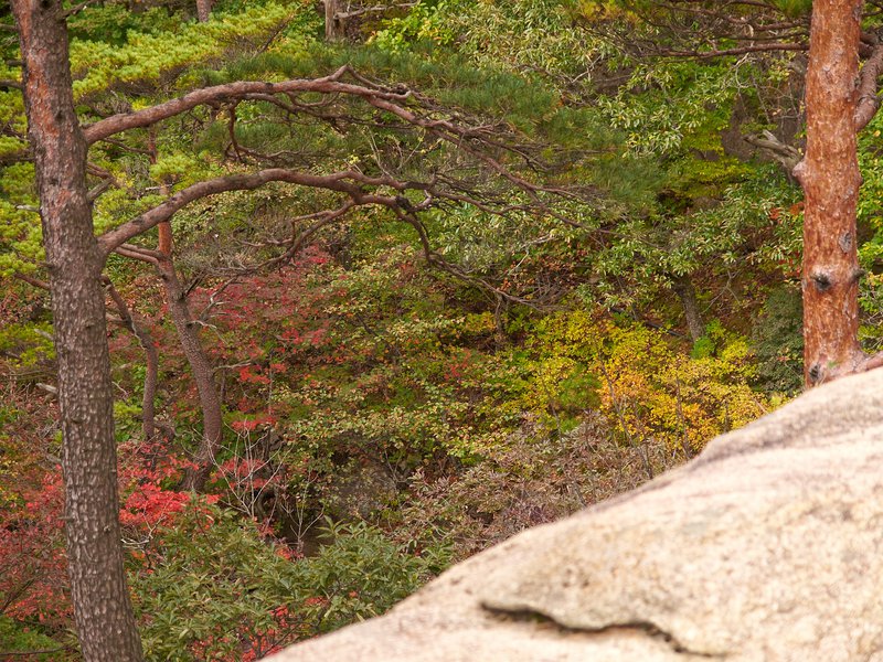 Seorak National Park